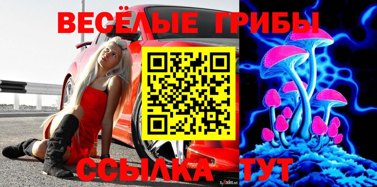 Галлюциногенные грибы мухоморы  Псилоцибиновые грибы прущие грибы  Вход с VPN  Асино 