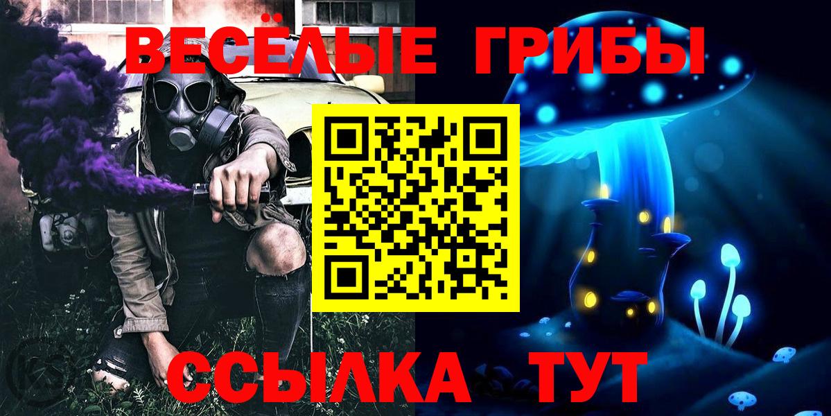 Псилоцибиновые грибы Psilocybine cubensis Асино