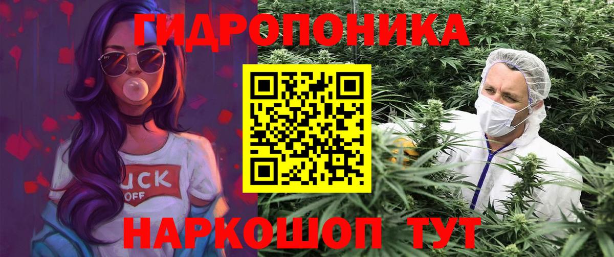 Конопля конопля Асино